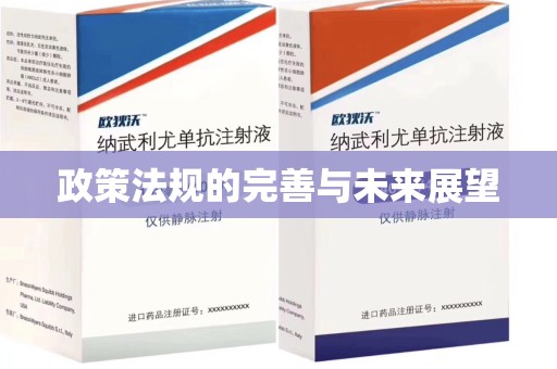 全国政策法规的完善与未来展望