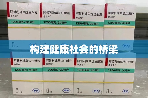 全国构建健康社会的桥梁