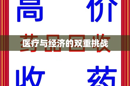全国医疗与经济的双重挑战