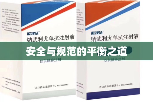 全国安全与规范的平衡之道
